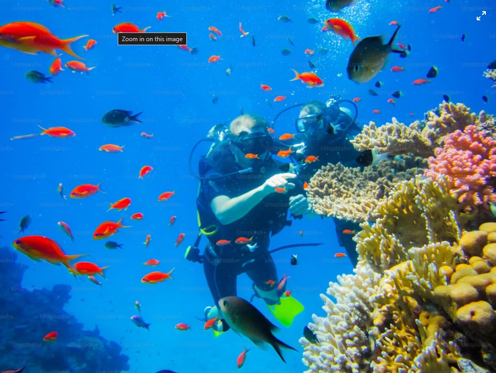 Diving 2