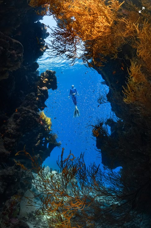 Diving 2