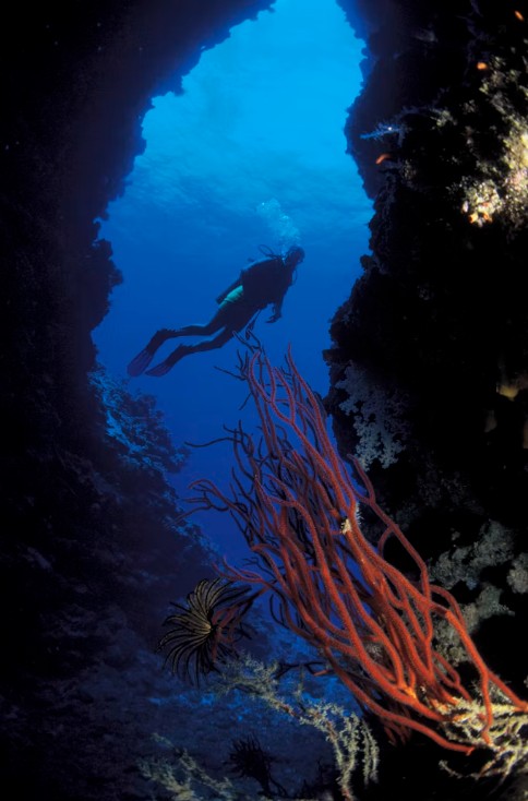 Diving 2